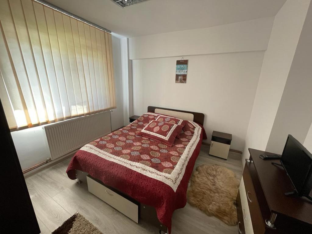 Apartament Mioritza 2B Horezu Esterno foto